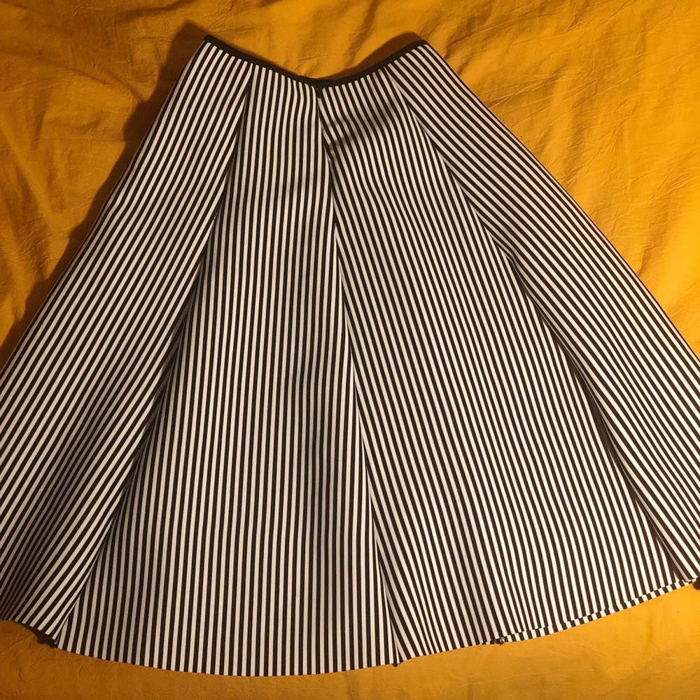 Pleated A-Line Stripped MIDI Skirt - Picture 3 of 7
